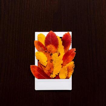 Autumn composition of leaves and Polaroid image. The concept of autumn. Minimalism and abstraction. White frame on a background of bright autumn leaves photo