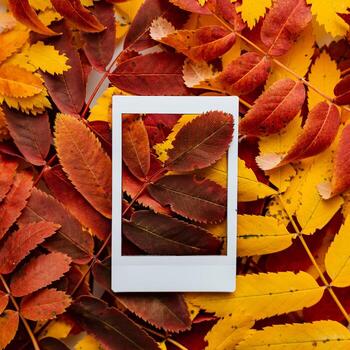 Autumn composition of leaves and Polaroid image. The concept of autumn. Minimalism and abstraction. White frame on a background of bright autumn leaves photo