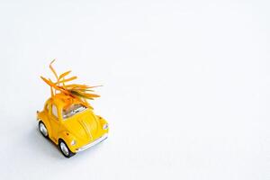 A small yellow car carries yellowed leaves. Autumn minimalistic composition with a toy car on a white background. photo