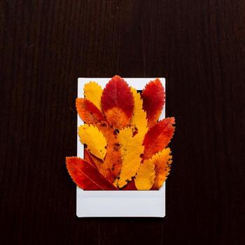 Autumn composition of leaves and Polaroid image. The concept of autumn. Minimalism and abstraction. White frame on a background of bright autumn leaves photo