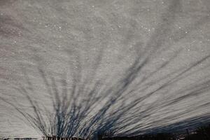 shadow in the snow, thin lines of shadow on white snow, winter drawing, abstraction, natural, art, background photo