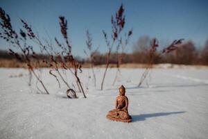 Jade Buddha sitting in the snow, Buddha statue standing in the snow in the field, peace, silence of nature, Sunny winter day, yoga concept, relax, calm, serenity photo