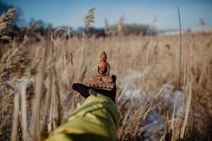 buddha, porcelain statue of buddha, brown statue of buddha lying on the hand, buddha on the background of nature, calm, relaxation, peace, balance photo