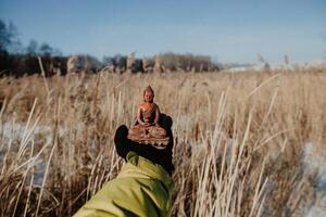 buddha, porcelain statue of buddha, brown statue of buddha lying on the hand, buddha on the background of nature, calm, relaxation, peace, balance photo
