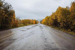 Autumn the road goes into the distance. An empty road passes through the forest. Asphalt in the mountains against the background of the autumn forest. photo