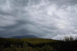 overcast sky, clouds are coming, clouds over the forest. photo