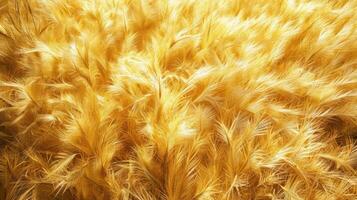 A close-up texture of golden feathers, creating a soft and luxurious background. photo