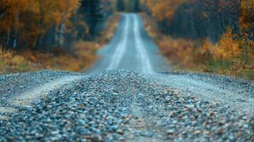 Gravel road through autumn forest with trees on both sides disappearing into the distance. photo