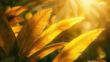 Golden palm leaves bathed in warm sunlight with a bokeh effect. photo