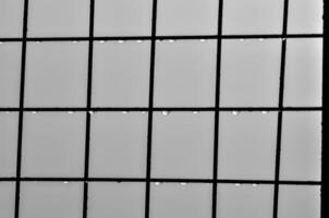 Raindrops on Grid Window Pane in Black and White photo