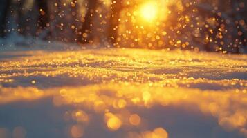 Close-up of sparkling snow in golden sunset light with blurred forest background. photo