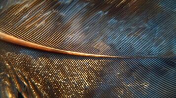 Close-up of a bird feather with intricate detail and a textured surface. photo