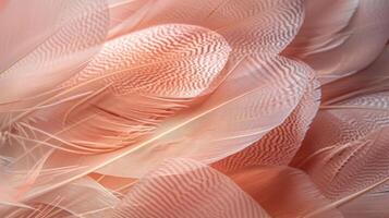 Close-up of soft, pink feathers with intricate textures, creating a delicate and elegant background. photo