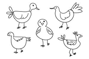 set of child hand drawn art of birds. vector