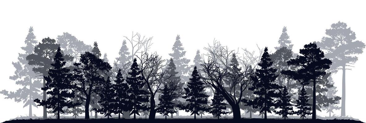 Tree silhouette in highland rainforest illustration