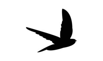 Swift Bird Flying Silhouette vector