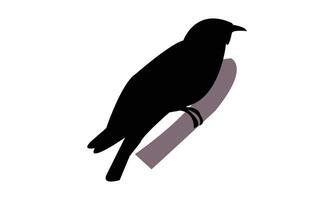 Common Hawk Cuckoo Silhouette Design vector