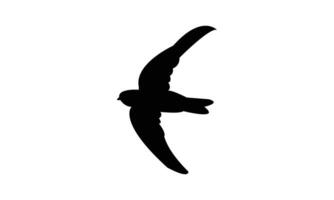 Flying Swiftlet Bird Silhouette Design vector