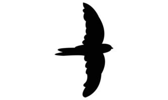 Flying Swiftlet Bird Silhouette Design And Illustration. vector