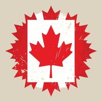 a canadian flag with a maple leaf on it vector