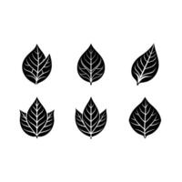 Tobacco Leaf Icon - and Linocut Silhouette Design vector