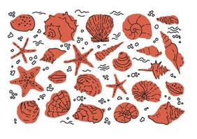 Textured Red Shell Art vector