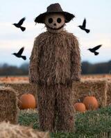 Spooky scarecrow in autumn field photo
