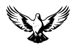 Black and White Dove Illustration vector