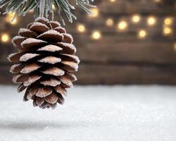 Frosty pine cone hanging on snowy branch with christmas lights photo