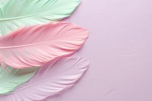 Soft pastel feathers on pink background photo