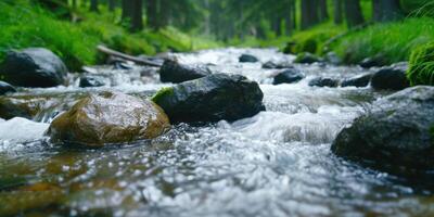 Flowing mountain stream in lush green forest photo