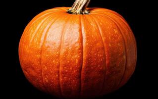 Close up of an orange pumpkin photo