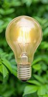 Illuminating nature with a glowing light bulb photo