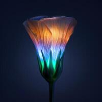 Vibrant Flower Petals Glowing in the Dark photo