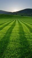 Scenic rolling hills and green fields at sunset photo