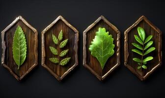 Assorted fresh green leaves in wooden frames photo