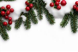 festive winter berries and evergreen branches on snowy background photo