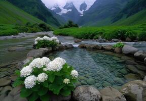 Serene mountain stream with lush greenery and white flowers photo