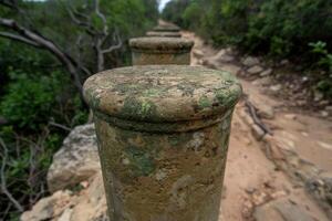 Weathered stone pillar in a lush forest photo