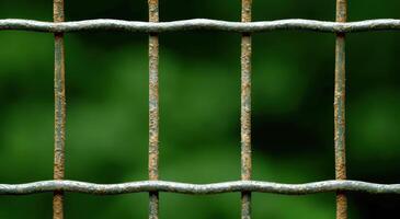 rusty metal fence against blurred green background photo