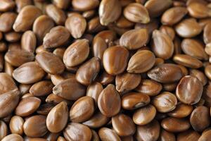 Close up of roasted coffee beans photo