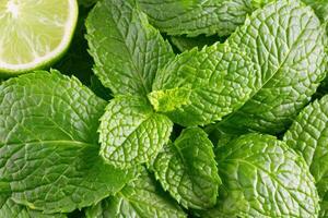 Fresh mint leaves with lime slice photo