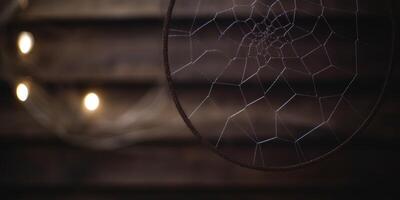 Intricate spider web in the dark photo