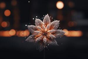 Sparkling winter flower in the dark photo
