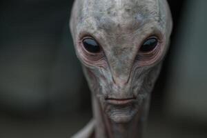 Mysterious alien face with large eyes and wrinkled skin photo