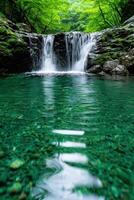 Lush green waterfall in serene forest landscape photo