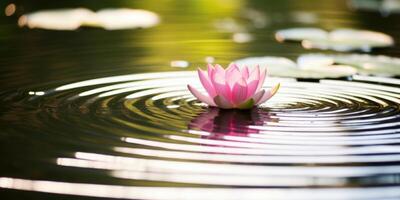 serene lotus flower floating on water photo
