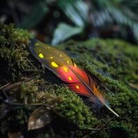 Colorful feather on moss covered forest floor photo