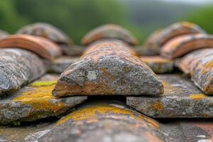 Weathered stone tiles on a mossy surface photo