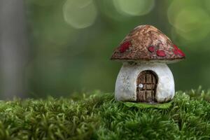 Miniature fairy house in moss covered forest photo